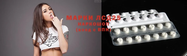 сатива Абинск
