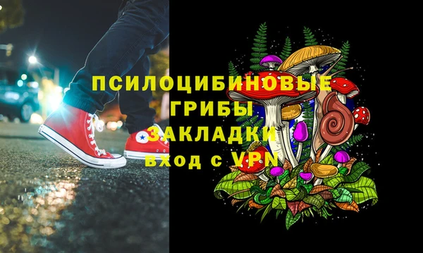сатива Абинск